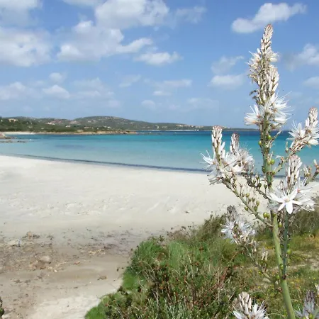 شقة Vista Mare 1 Isola di Porticciuolo